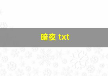 暗夜 txt